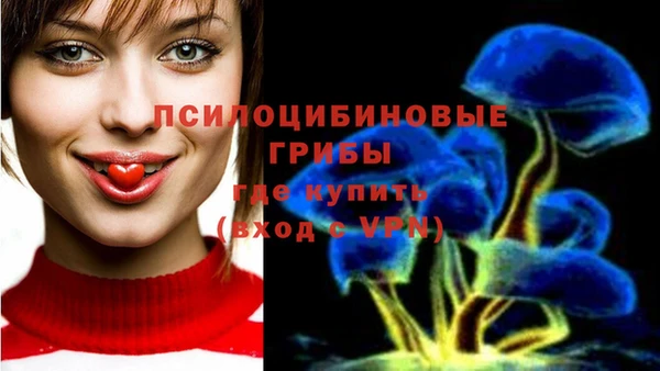 амф Богородицк
