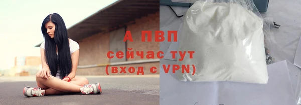 амф Богородицк