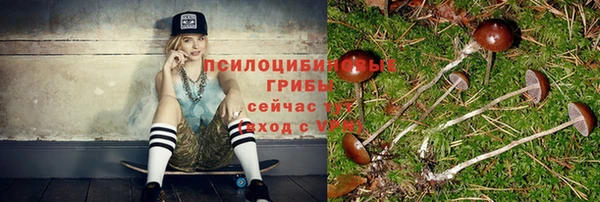 амф Богородицк