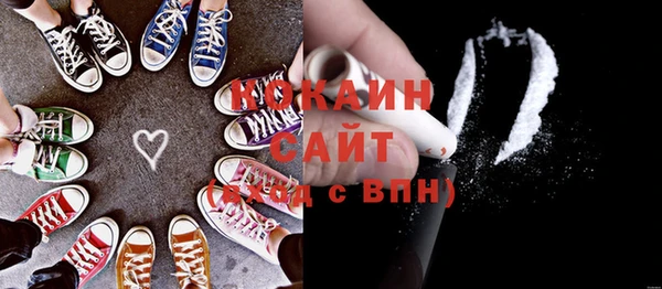 шишки Ветлуга
