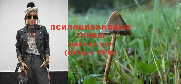 шишки Ветлуга