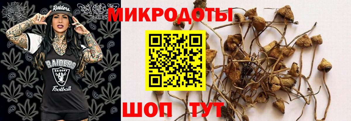 Галлюциногенные грибы Cubensis  Вход с VPN  Горячий Ключ 