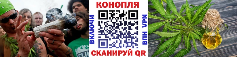 Шишки марихуана OG Kush Горячий Ключ