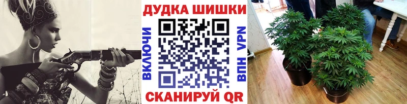 Канабис планчик  Горячий Ключ 